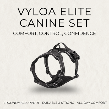 Vyloa Elite Canine Set